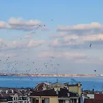 Sea Vibes With Great Terrace And Sea View Lejlighed *